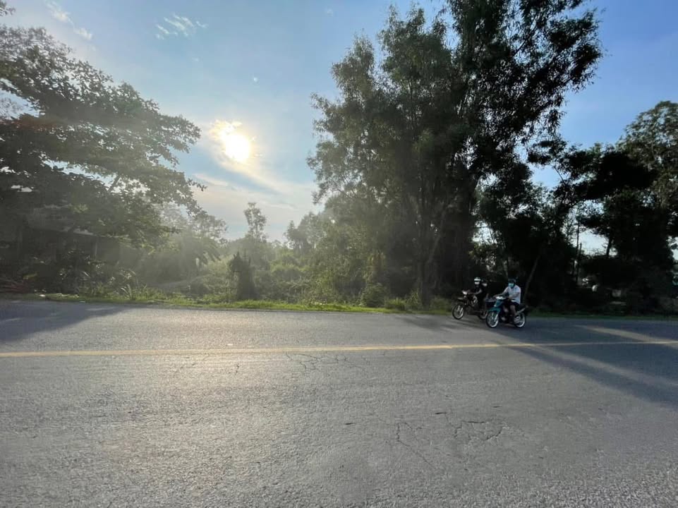 Đất nền mặt tiền Quốc lộ N2, Đức Hòa 430m² giá 6.8 tỷ - Cơ hội đầu tư sinh lời!