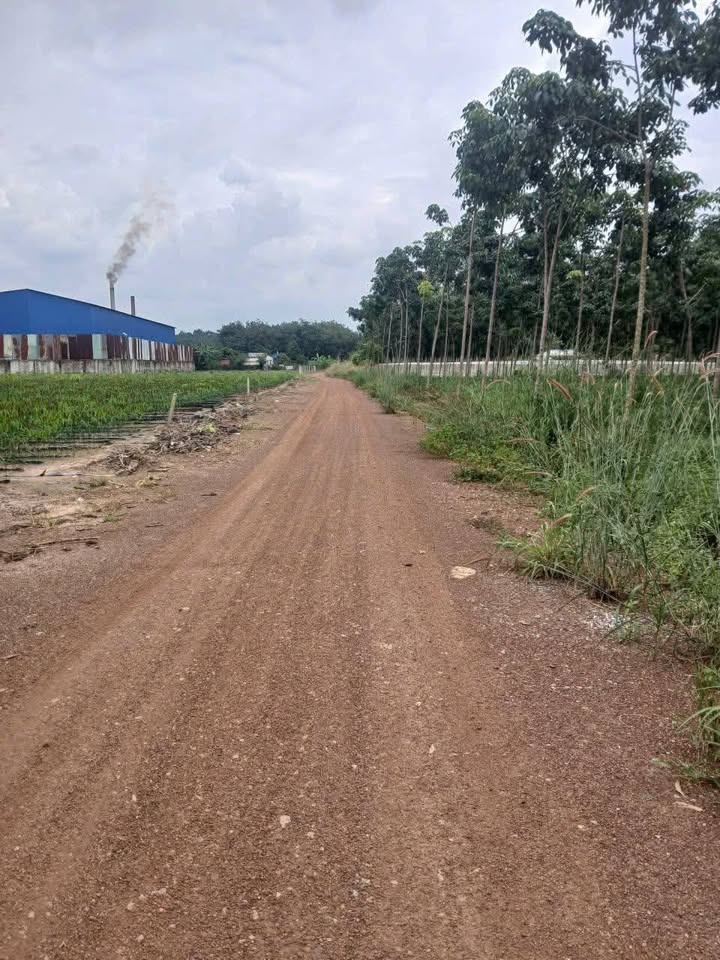 Đất nền chính chủ xã Long Hòa, huyện Dầu Tiếng, 1040m² - Giá 650 triệu, đầu tư sinh lời!