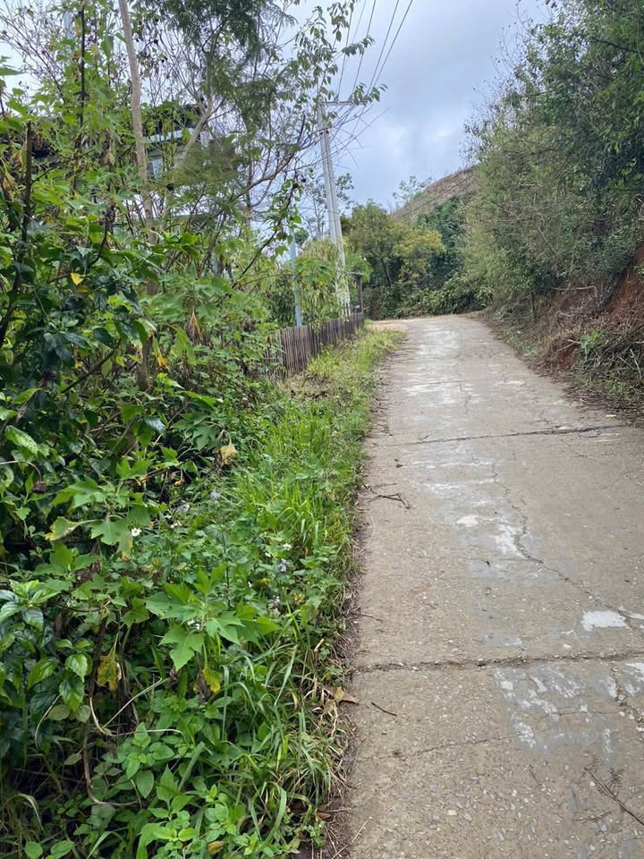 Đất nền Xuân Trường Đà Lạt 500m² giá 2.7 tỷ - Sẵn sàng cho đầu tư!