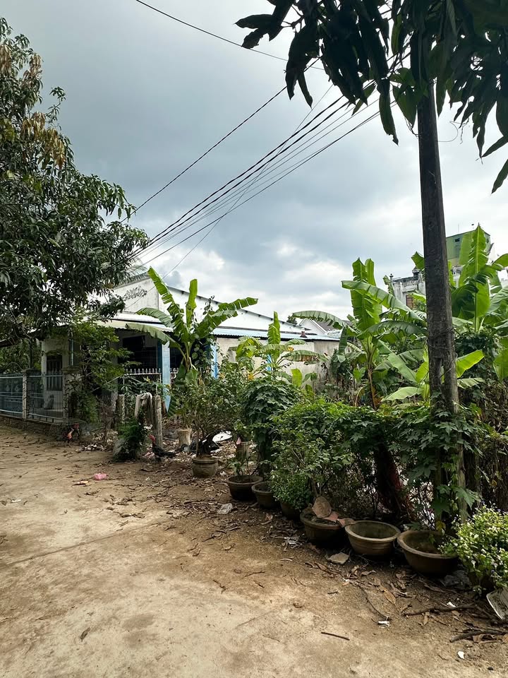 Đất thổ cư tại thôn Dầu Sơn, Cam Lâm, 160m² giá 1.75 tỷ - Vị trí siêu đẹp!