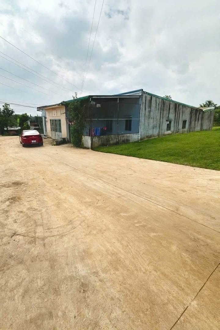 Đất thổ cư Cư Êbur, Buôn Ma Thuột 50m² giá 1.39 tỷ - Đầu tư sinh lời cao!