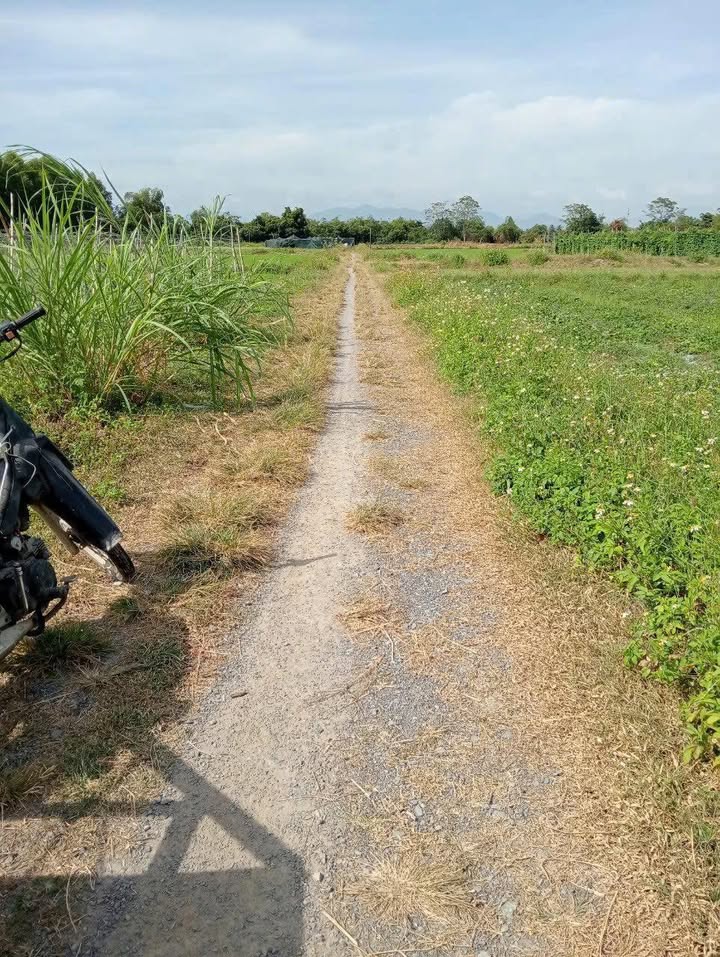 Đất nền 4 mặt tiền Tuân Thừa, Tân Định 680m² giá 900 triệu - Cơ hội đầu tư hiếm có!