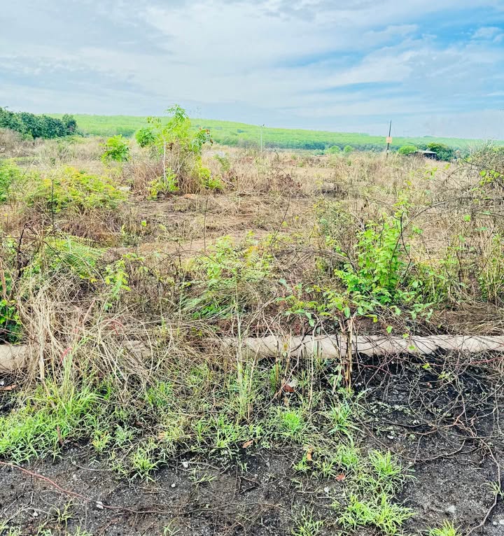 Đất nền Tân Xuân Đồng Xoài 160.65m² giá 700 triệu - Cơ hội đầu tư tuyệt vời!