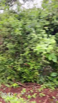 Đất nền phường Tân An 600m² giá 1.35 tỷ - Đầu tư lý tưởng tại Buôn Ma Thuột!