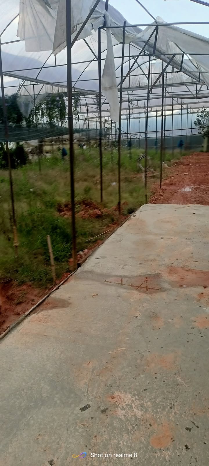 Đất nền Đà Lạt 90m² giá 1 tỷ - Đường ô tô vào tận nơi!