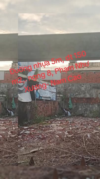 Đất vàng 150m² mặt tiền 8m - Tiềm năng đầu tư tại Nam Cao!