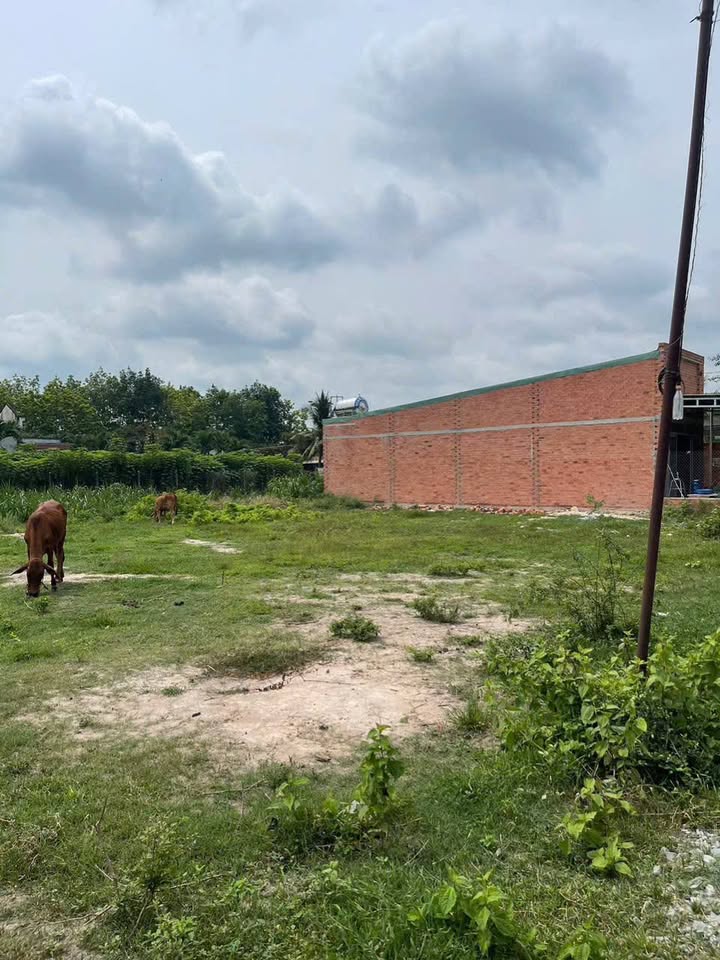 Đất thổ cư 80m² tại An Tịnh, Trảng Bàng, Tây Ninh - Giá chỉ 850 triệu, sổ đỏ chính chủ!