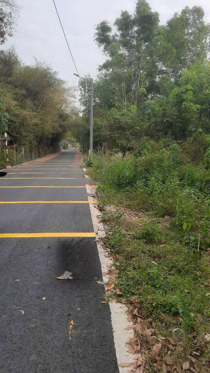 Đất thổ cư Phú An Bến Cát 220m² giá 1.68 tỷ - Đầu tư sinh lời ngay!