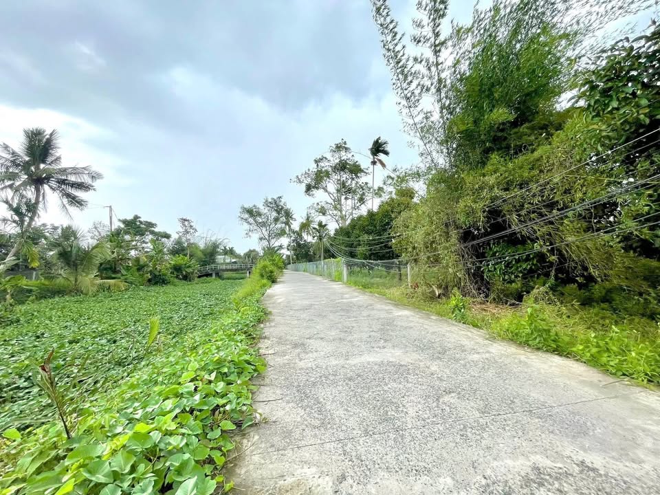 Đất nền Nhơn Ái, Phong Điền 73m² giá 485 triệu - Vị trí đẹp, dân cư đông đúc!