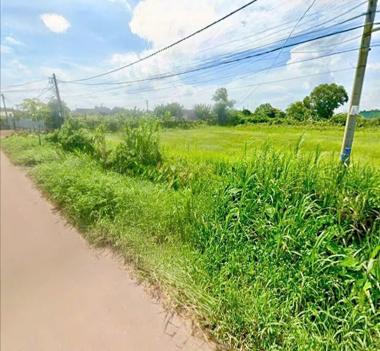 Đất nền Tân Phú Trung, Củ Chi 2200m² giá 13 tỷ - Đầu tư sinh lời hấp dẫn!