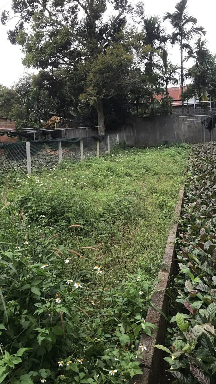 Đất thổ cư Hẻm 61, Hòa Thắng 133m² giá 1.6 tỷ - Tiềm năng đầu tư cao!