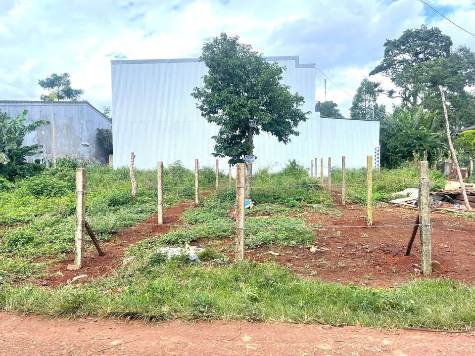 Đất nền mặt tiền D7, xã Ea Tu, Buôn Ma Thuột 110m² giá 1.19 tỷ - Cơ hội đầu tư tuyệt vời!