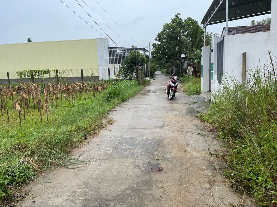 Đất nền Nghĩa Dõng 350m² giá 1 tỷ - Sổ hồng riêng, đường ô tô rộng rãi!