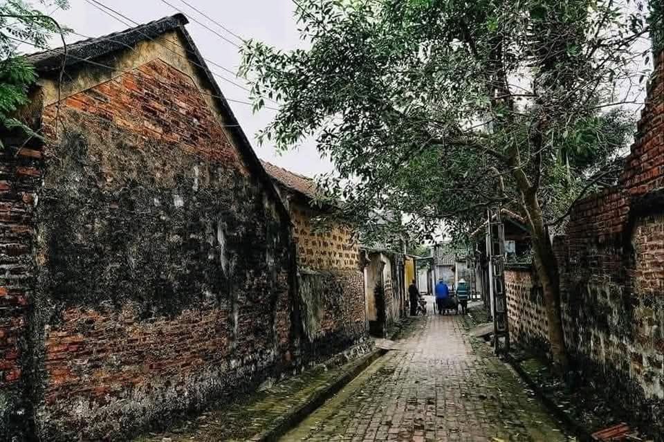 Đất thổ cư Cổ Bi, Gia Lâm 111m² - Chính chủ bán nhanh, giá thỏa thuận!