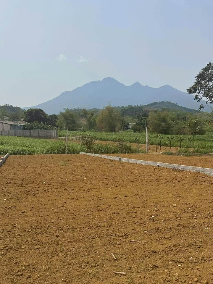 Đất thổ cư Vân Hòa 262m² giá 1.9 tỷ - Hàng hiếm không thể bỏ lỡ!