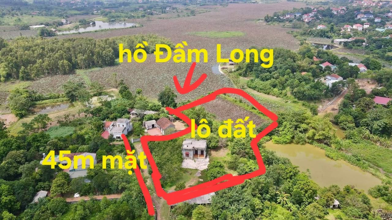 Đất nền Bằng Tạ, Cẩm Lĩnh, Ba Vì 5438m² giá chỉ 1.7 triệu/m² - Cơ hội đầu tư sinh lời!