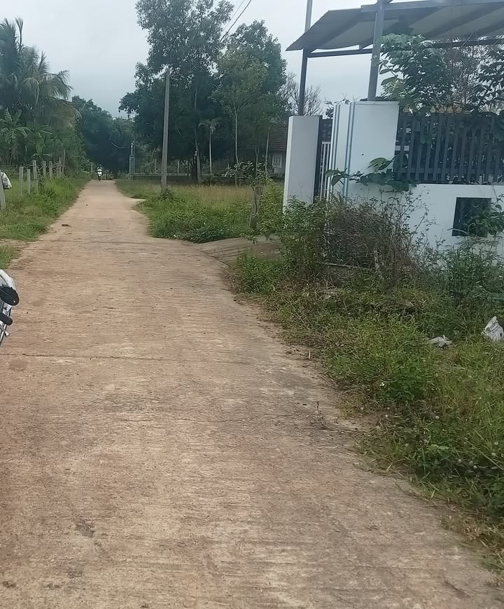 Đất nền tại Kp 3, thị trấn Hai Riêng, Sông Hinh - Diện tích 100m² chỉ 400 triệu!