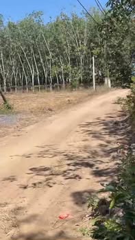 Đất nền Hảo Đước, Châu Thành, Tây Ninh 175m² giá 150 triệu - Sổ đỏ sẵn công chứng ngay!