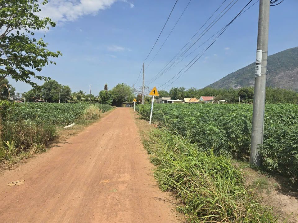 Đất thổ cư 1485m² tại Dương Minh Châu, Tây Ninh - Giá tốt 18 tỷ