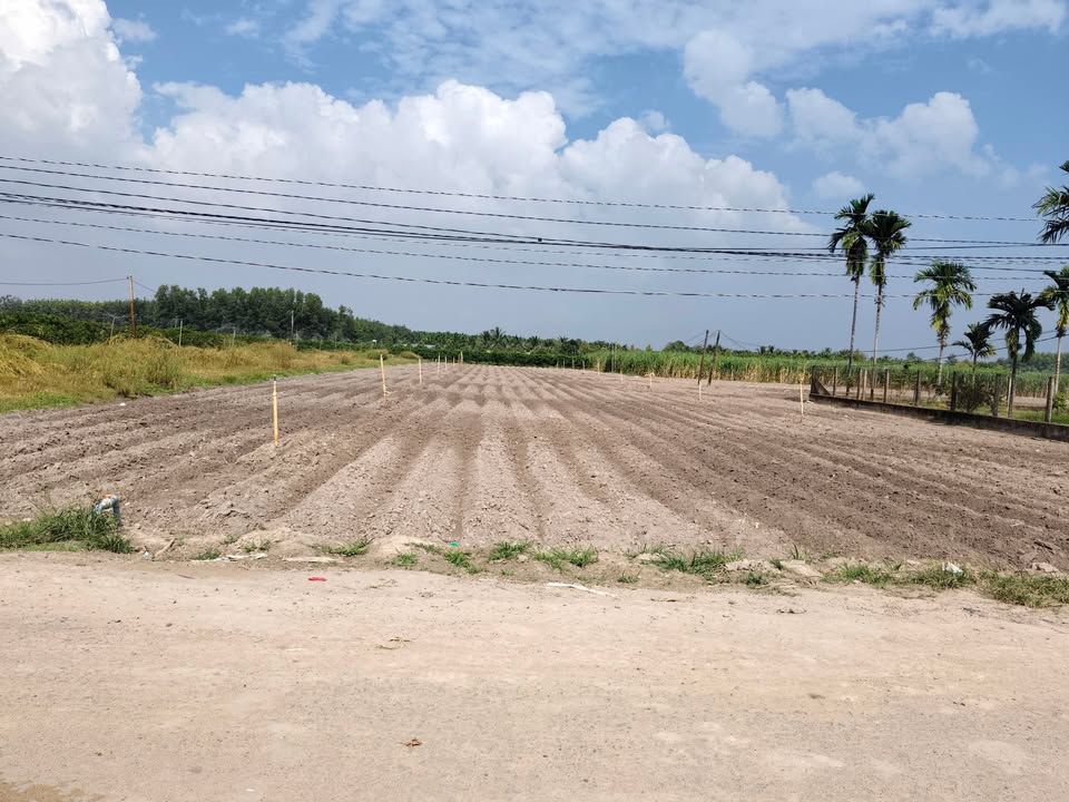 Đất mặt tiền đường Thạnh Nghĩa, Thạnh Đông, Tân Châu, 2875m² giá 2.875 tỷ - Cơ hội đầu tư hấp dẫn!