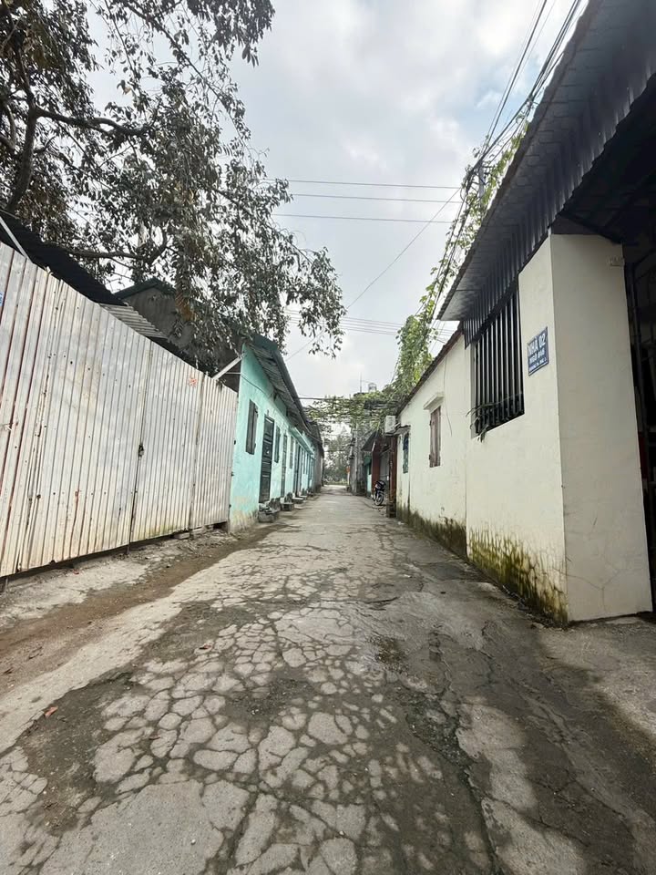 Đất thổ cư Quảng Thịnh, Thanh Hóa 310m² - Phù hợp xây nhà vườn hoặc chung cư mini!