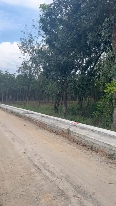 Đất nền đẹp tại Chánh Phú Hòa, Bình Dương - Giá chỉ 1,3 tỷ - Pháp lý rõ ràng!