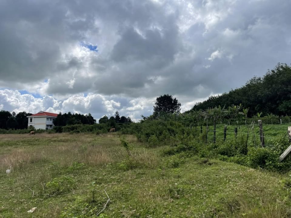 Đất nông nghiệp Đăk Năng, Kon Tum 21.000m² - Cơ hội đầu tư tuyệt vời!