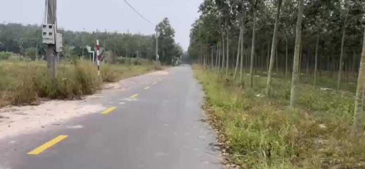 Đất nền Bàu Bàng 7200m² giá tốt - Mặt tiền đường nhựa Lai Uyên!