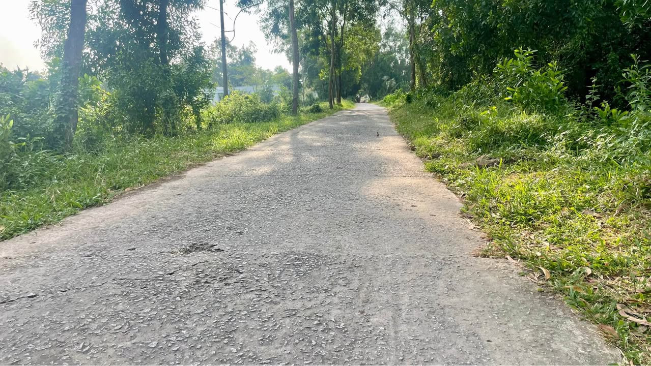 Đất nền Cà Mau 1230m² giá 660 triệu - Đầu tư sinh lời ngay!