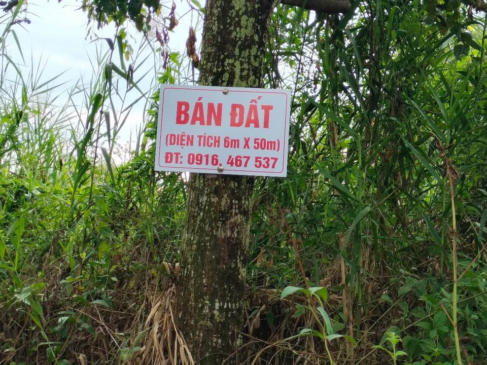 Đất nền xã Khánh An, U Minh, Cà Mau 300m² giá chỉ 300 triệu - Đầu tư sinh lời ngay!