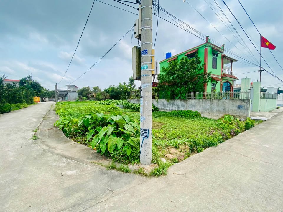 Đất nền lô góc Hồng Bạch Đông Hưng 138m² giá 700 triệu - Vị trí đắc địa cho đầu tư!