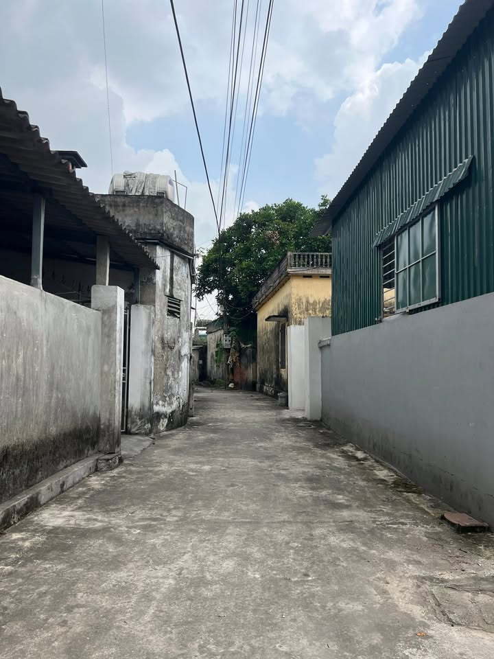 Đất nền Phú Xuân Thái Bình 40m² giá 800 triệu - Hướng Tây Bắc thông thoáng!