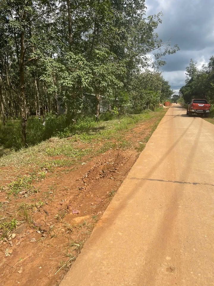 Đất nông nghiệp 1.9ha tại Ea Khal, Đắk Lắk - Giá chỉ 3.4 tỷ!