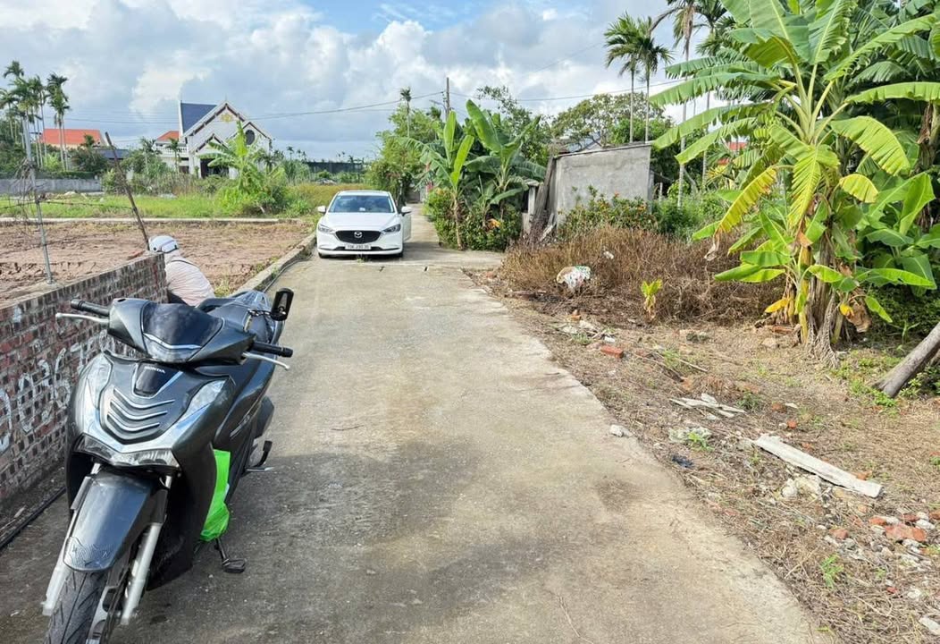 Đất nền 63m² tại Kiều Hạ, An Dương giá chỉ 700 triệu - Đầu tư ngay!