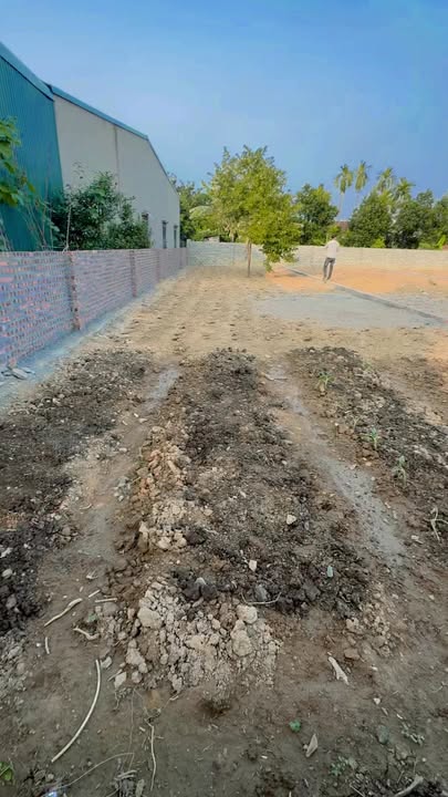 Đất nghỉ dưỡng 150m² tại Ba Vì giá chỉ 1.4 tỷ - Cơ hội đầu tư lý tưởng!