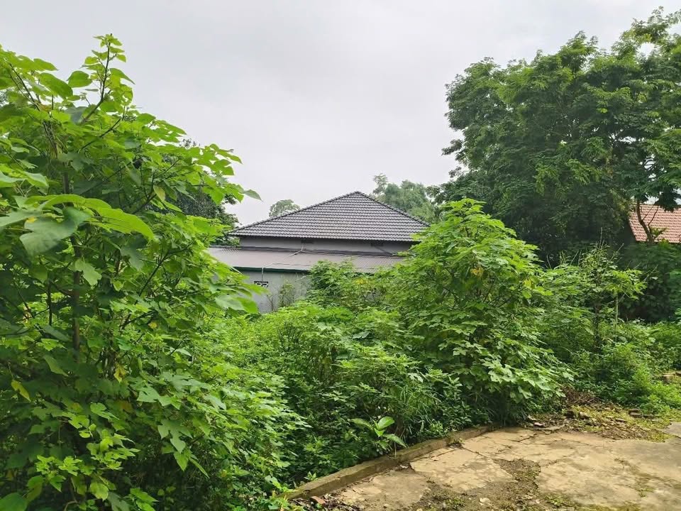 Đất nền 559.4m² tại Thôn Lặt, Xã Ba Vì - Sổ đỏ chính chủ, giá tốt đầu tư!