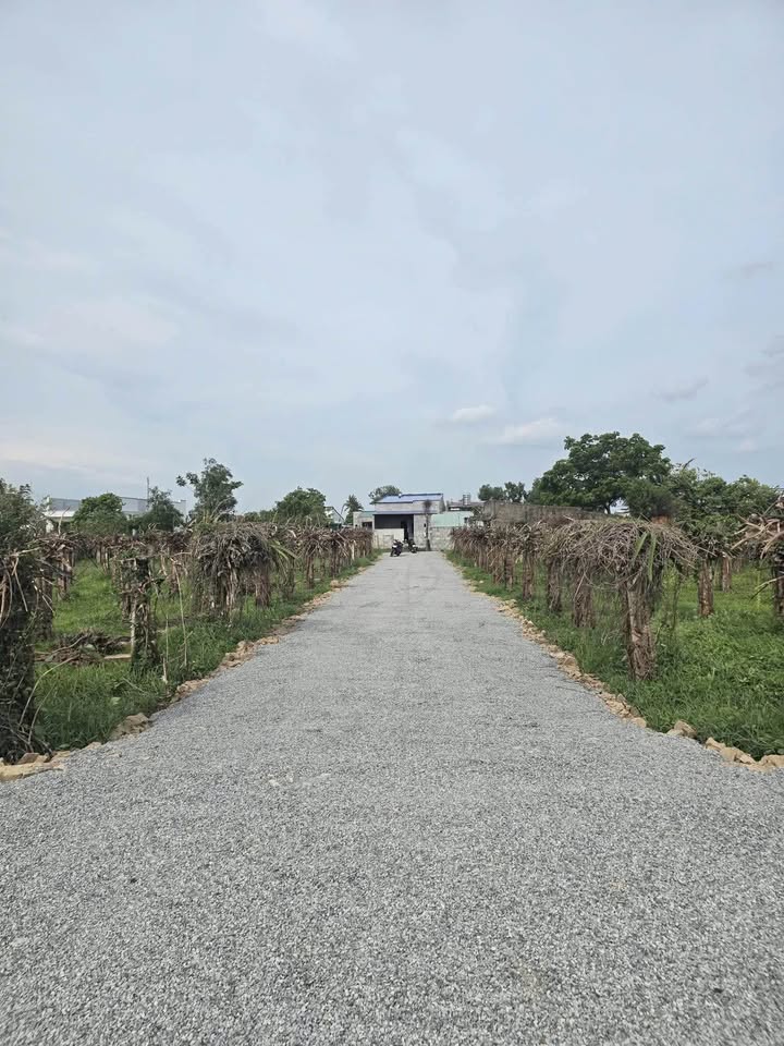 Đất nền Thôn Văn Lâm, Hàm Mỹ, Bình Thuận 2700m² - Đầu tư sinh lời tuyệt vời!