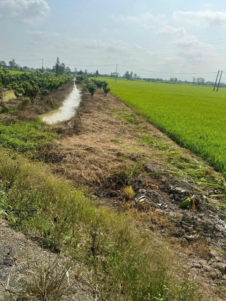 Đất nền Thới Lai 627m² giá 900 triệu - Tiềm năng đầu tư lớn!