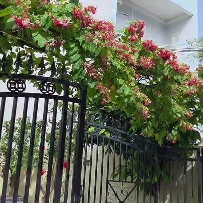 Biệt thự Linh Đông 170m² giá 9.8 tỷ - Vị trí đắc địa, hẻm xe tải