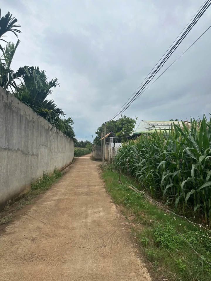 Đất nền Ea Kao Buôn Ma Thuột 200m² giá 1.25 tỷ - Tiềm năng đầu tư lớn!