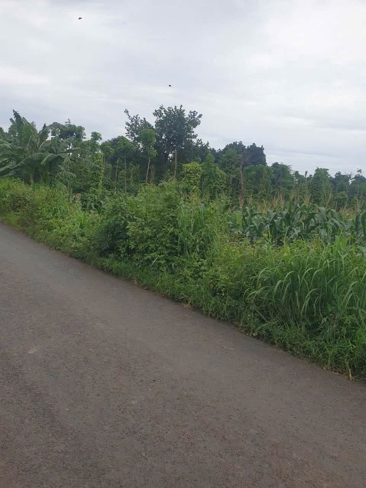 Đất mặt tiền Hầm Đá Hòa Phú 2000m² giá 950 triệu - Cơ hội đầu tư không thể bỏ lỡ!