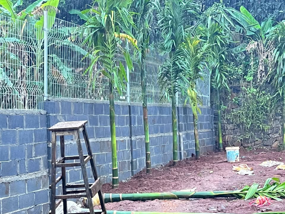 Đất nền Tân Lợi, Buôn Ma Thuột 200m² giá 1.59 tỷ - View đồi thoáng đãng!