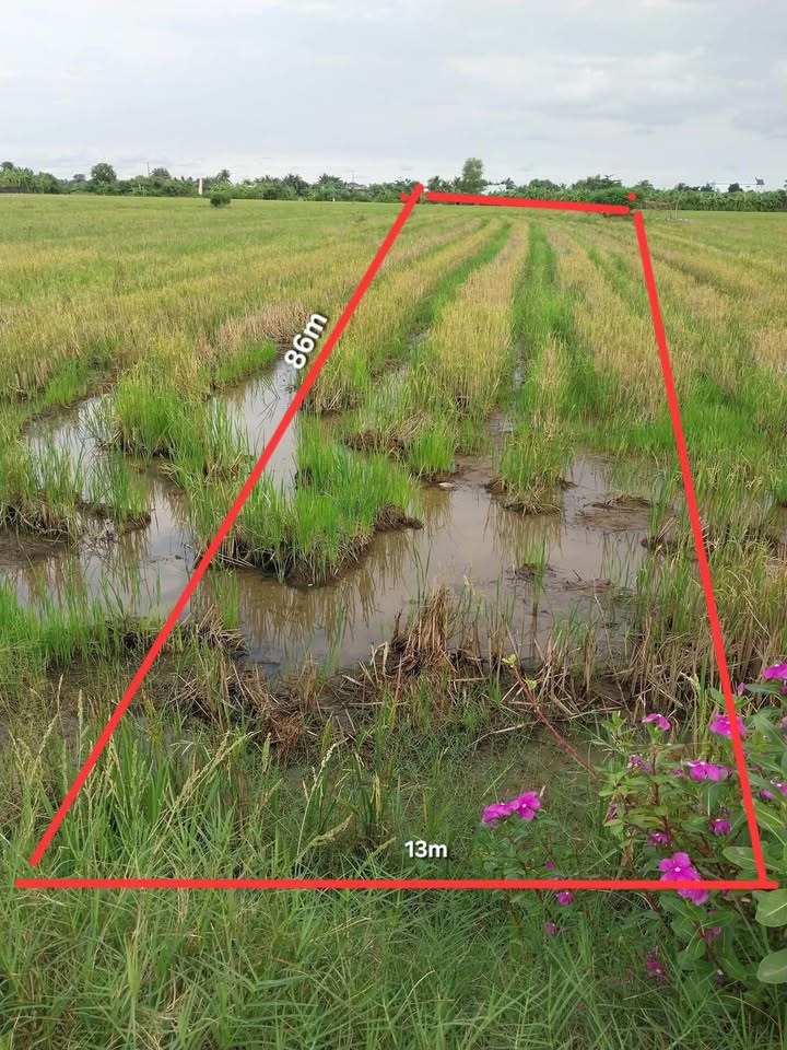 Đất nền 1150m² mặt tiền đường nhựa xã Tân Phước, giá chỉ 300 triệu - Cơ hội đầu tư tuyệt vời!