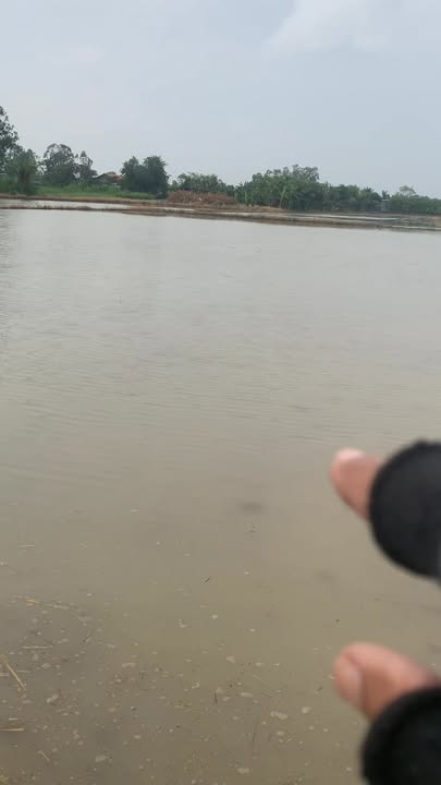 Đất ruộng tại Ấp Ruộng Cạn, Tiền Giang 2000m² giá chỉ 200 triệu - Cơ hội đầu tư tuyệt vời!