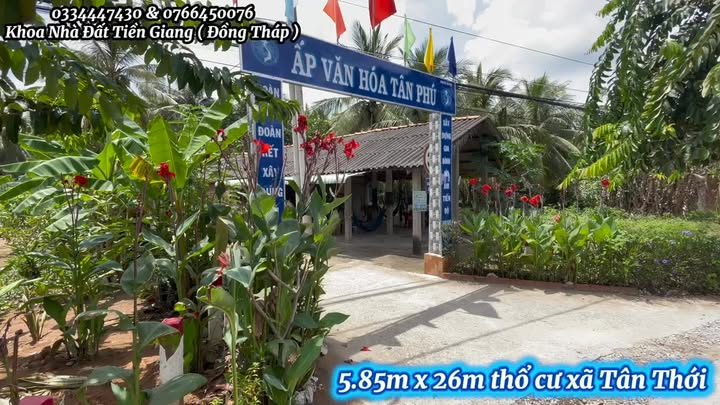 Đất nền xã Tân Thới, 1521m² giá 220 triệu - Sổ hồng riêng, ô tô vào tận nơi!