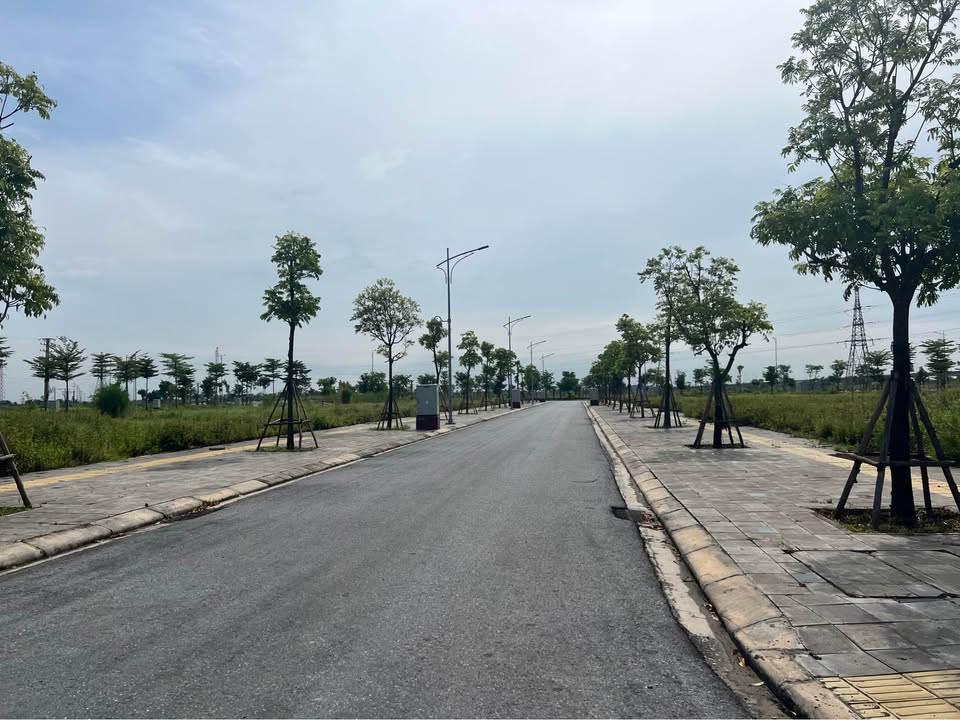 Đất nền KĐT Bắc Cầu Hàn 100m² giá 2 tỷ - Bán lỗ gấp trong tuần!