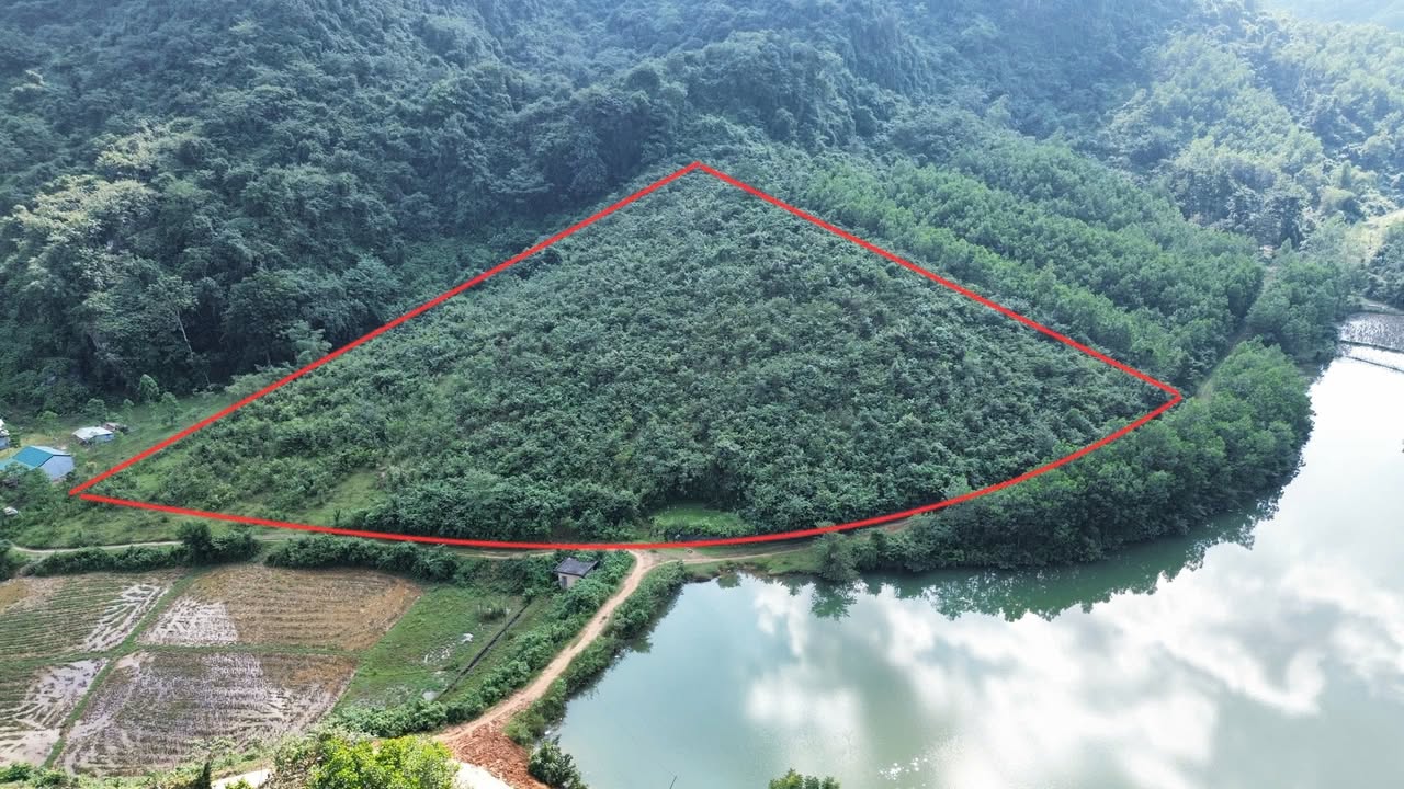 Đất Farm 12.000m² tại Kim Bôi, Hoà Bình - View hồ tuyệt đẹp, giá thỏa thuận!