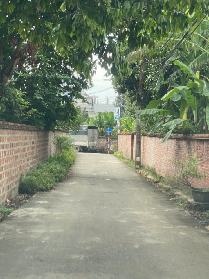 Đất vàng Hòa Lạc Thạch Thất 179m² giá 8.035 tỷ - Cơ hội đầu tư hấp dẫn!