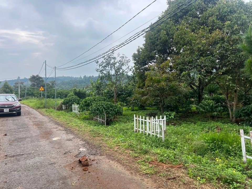 Đất nền Bảo Lộc 135m² giá từ 750 triệu - View núi Đại Bình tuyệt đẹp!