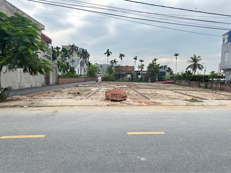 Đất mặt đường Đào Yêu, Hồng Thái, An Dương 51m² giá 1.73 tỷ - Đầu tư sinh lời ngay!